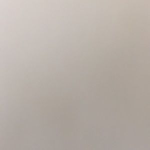 Meet your Posher, Gianna